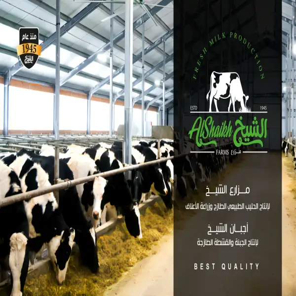 اجبان الشيخ